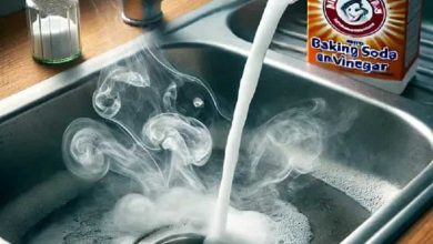 رفع بوی بد فاضلاب