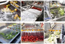 دستگاه های صنعتی شستشوی میوه و سبزی