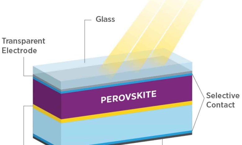 سلول خورشیدی تندم