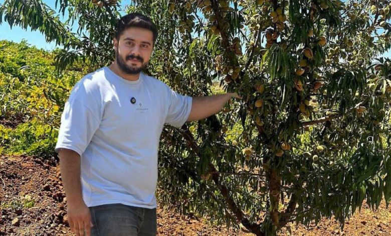 خرید نهال بادام و گردو