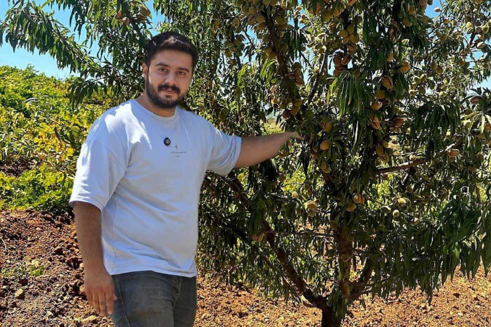 خرید نهال بادام و گردو